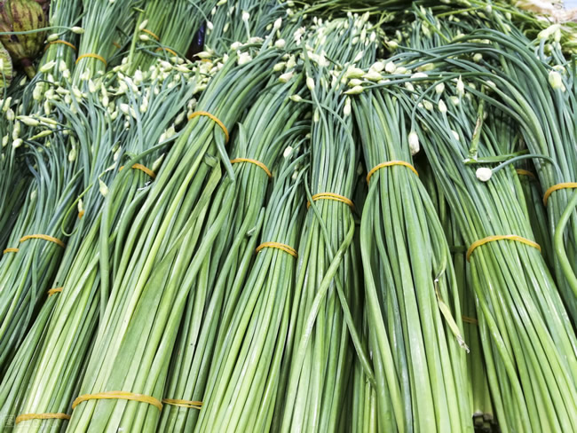 蒜苔冷庫(kù)溫度 蒜苔冷庫(kù)建造成本