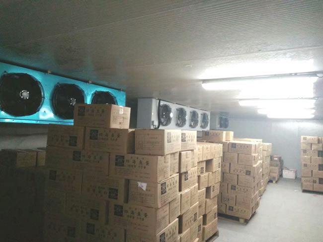 50平方小型冷庫造價預算需要多少錢