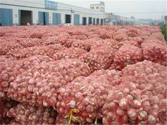 大型農(nóng)產(chǎn)品冷庫溫度和建造要求