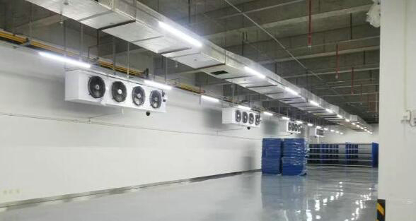 建造500平方冷藏庫(kù)造價(jià)需要多少錢